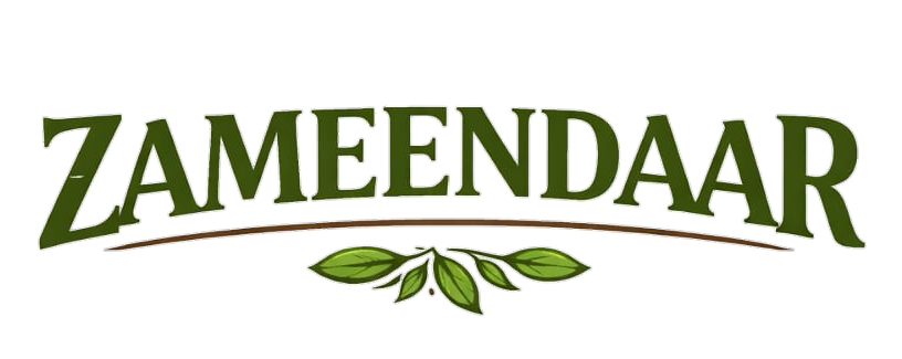 Zameendaar